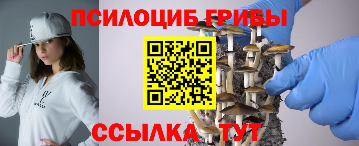 Псилоцибиновые грибы GOLDEN TEACHER  Вход с VPN  Малоярославец 